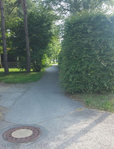 Radweg zugewachsen