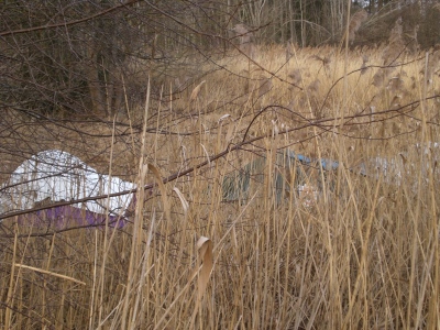 Wildes Zelten an den Baggerseen in Högling