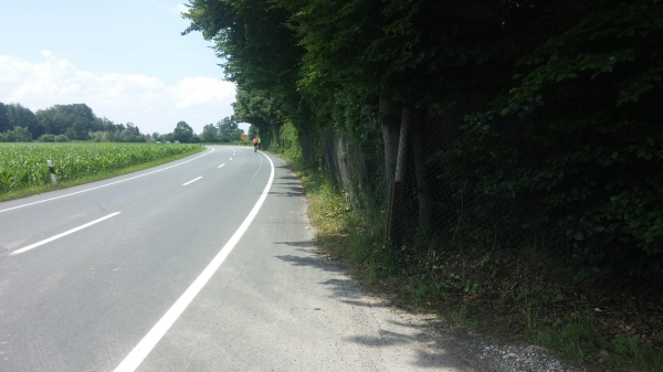 "Verlandung" und Überwucherung des Fahrradstreifens